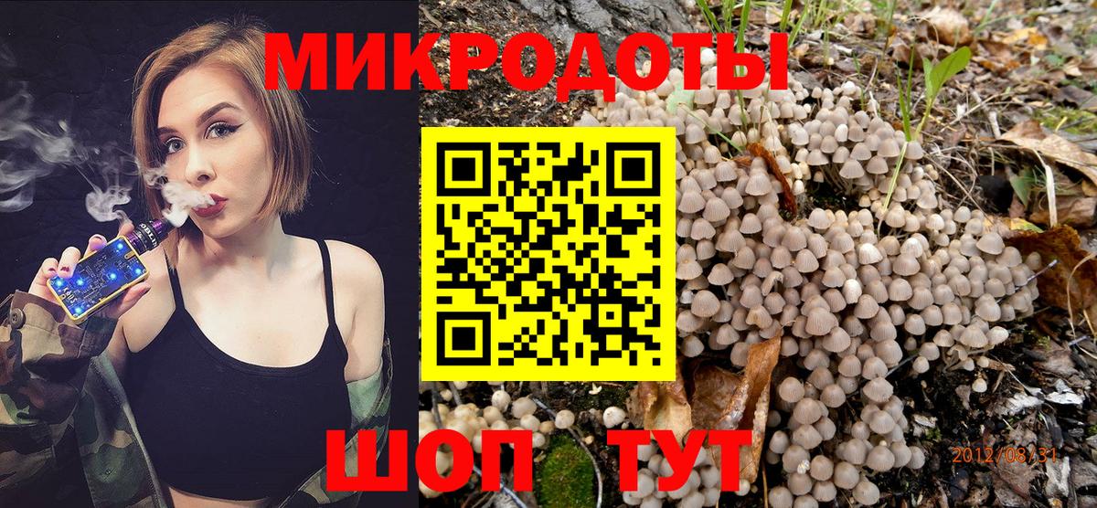 Галлюциногенные грибы мухоморы Надым